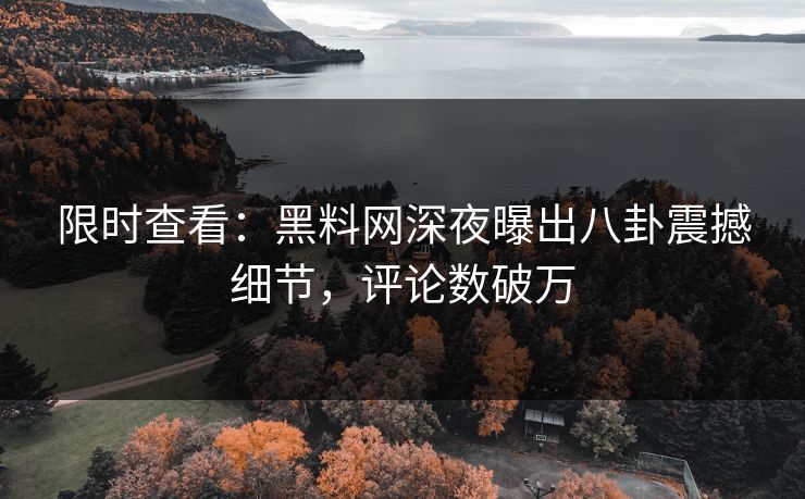 限时查看：黑料网深夜曝出八卦震撼细节，评论数破万