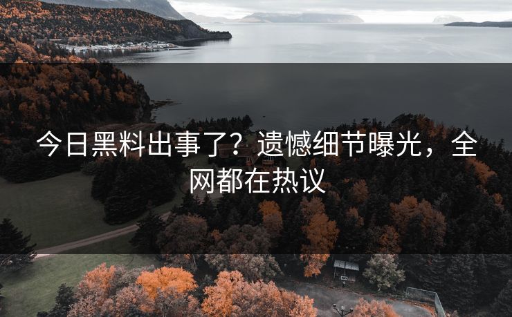 今日黑料出事了？遗憾细节曝光，全网都在热议