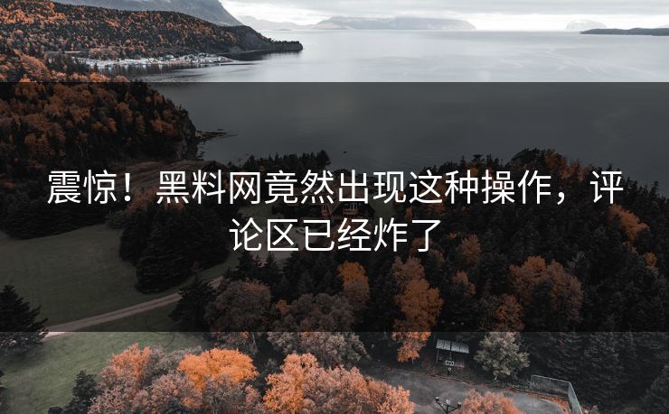 震惊！黑料网竟然出现这种操作，评论区已经炸了