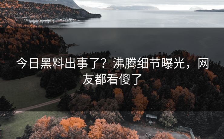 今日黑料出事了？沸腾细节曝光，网友都看傻了