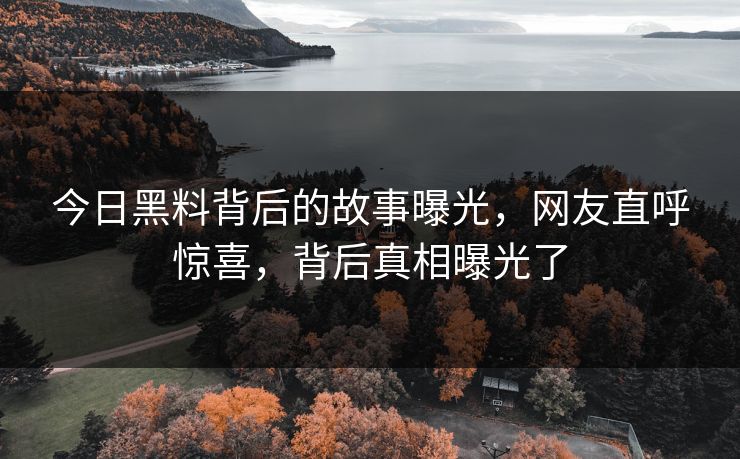 今日黑料背后的故事曝光，网友直呼惊喜，背后真相曝光了
