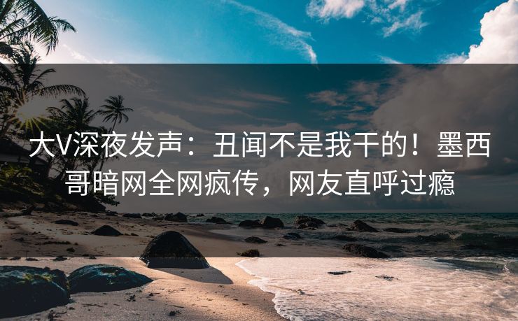大V深夜发声：丑闻不是我干的！墨西哥暗网全网疯传，网友直呼过瘾
