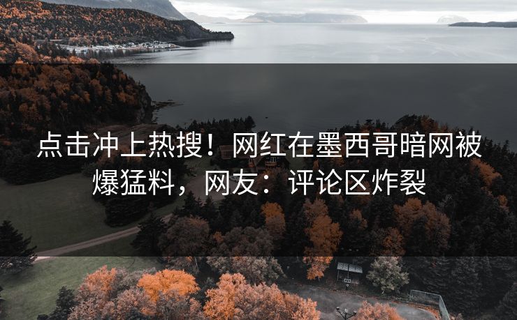 点击冲上热搜！网红在墨西哥暗网被爆猛料，网友：评论区炸裂