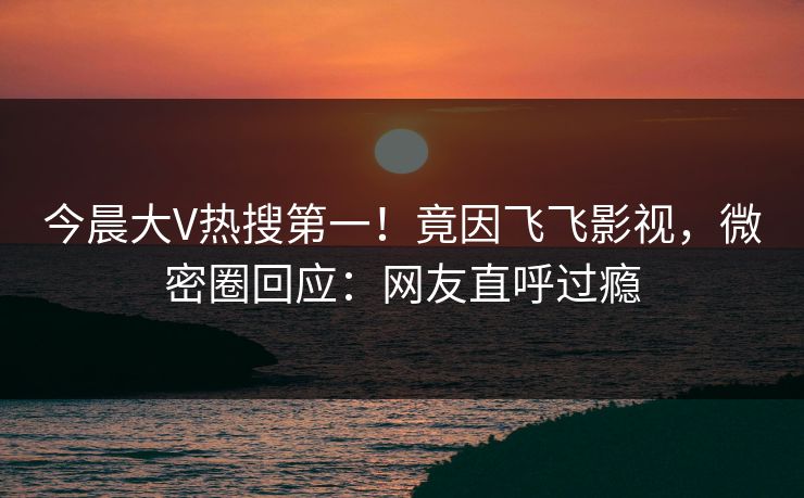 今晨大V热搜第一！竟因飞飞影视，微密圈回应：网友直呼过瘾