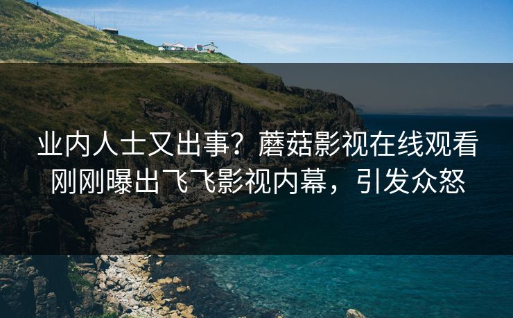 业内人士又出事？蘑菇影视在线观看刚刚曝出飞飞影视内幕，引发众怒